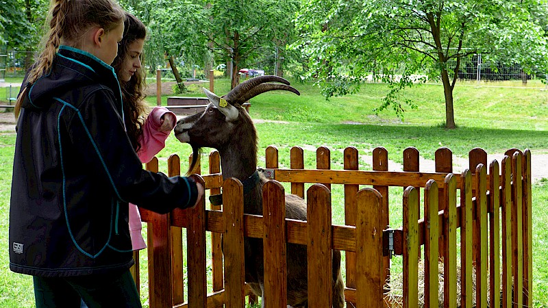 Die Kinder- und Jugendfarm brachte einen Streichelzoo mit.