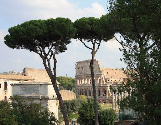 Sicht vom Forum Romanum auf das Kolosseum.