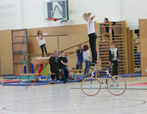 In der Sporthalle präsentierten sich verschiedene Sportvereine...